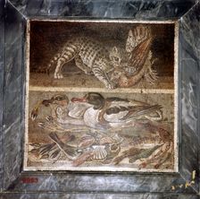 Roman mosaic of a cat with ducks, Pompeii, Italy. Creator: Unknown