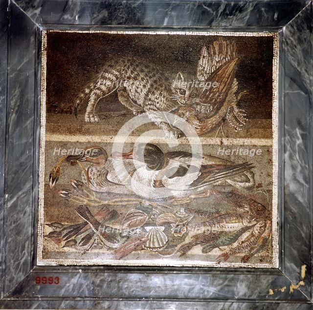 Roman mosaic of a cat with ducks, Pompeii, Italy. Creator: Unknown.