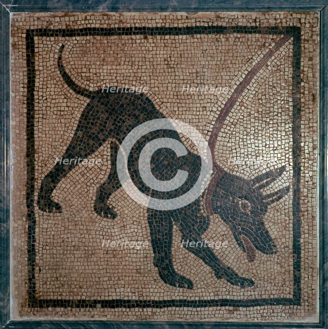 Roman mosaic of a dog, 1st century.  Creator: Unknown.