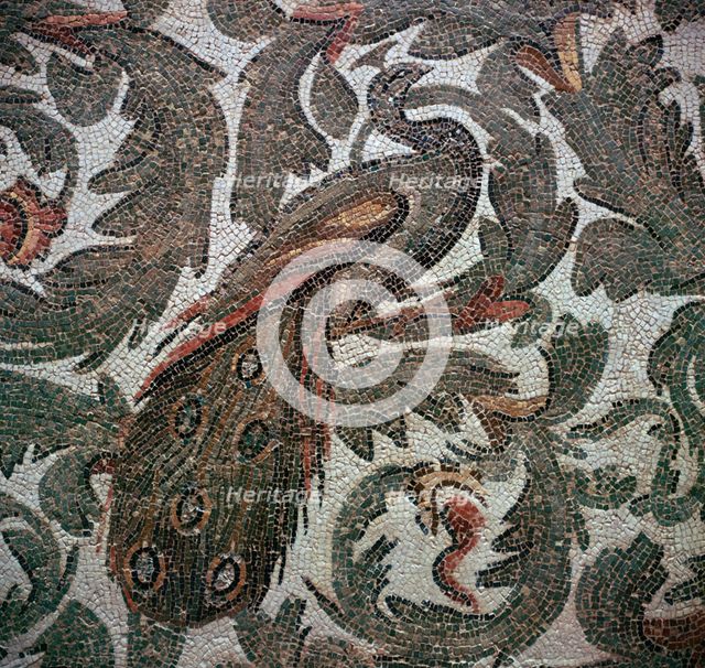 Roman mosaic of a peacock in foliage, 3rd century. Artist: Unknown