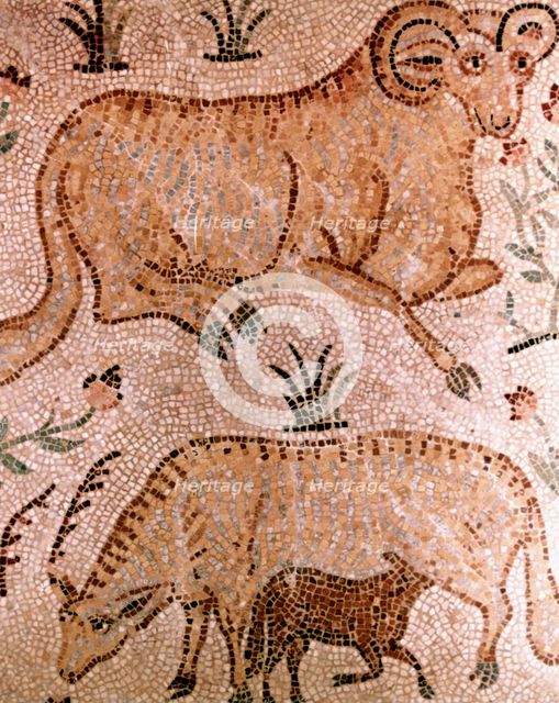 Roman mosaic of a ram, a cow and calf, 4th century AD. Artist: Unknown