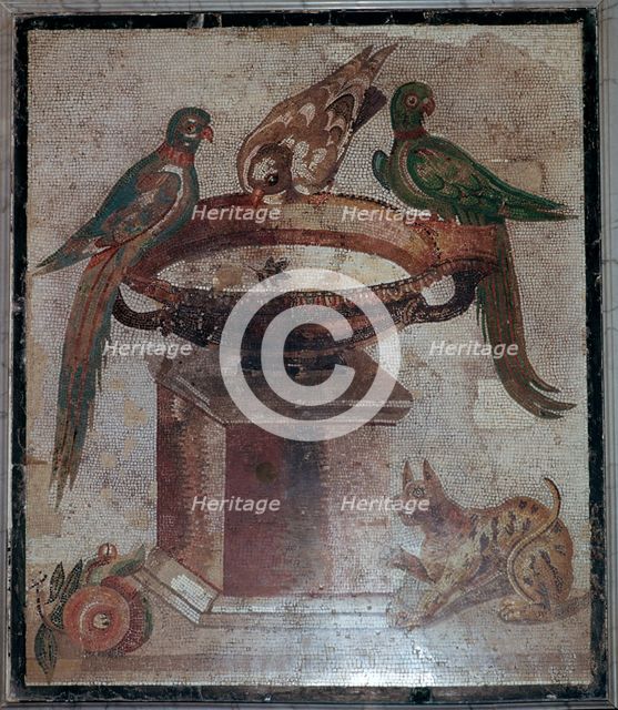Roman mosaic of birds and a cat at a fountain, 1st century.  Creator: Unknown.