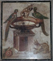Roman mosaic of birds and a cat at a fountain, 1st century. Creator: Unknown