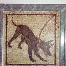 Roman mosaic of dog, Cave Canem, Pompeii, Italy. Creator: Unknown