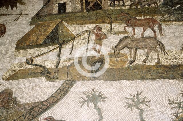 Roman Mosaic of horses drinking, c2nd-3rd century Artist: Unknown.
