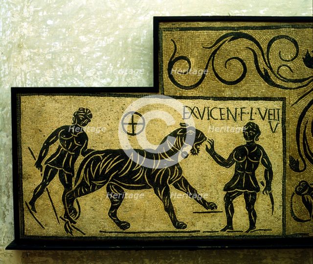 Roman mosaic deoicting a tiger and gladiators, 2nd century. Artist: Unknown