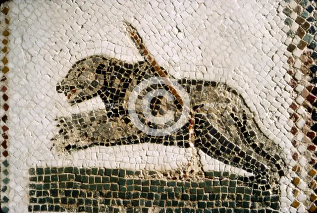 Roman Mosaic detail of Bear, from Diana the Huntress, Thuburbo Majus, Tunisia, c4th century. Artist: Unknown.