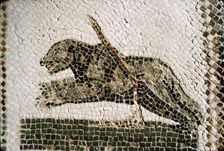 Roman Mosaic detail of Bear, from Diana the Huntress, Thuburbo Majus, Tunisia, c4th century