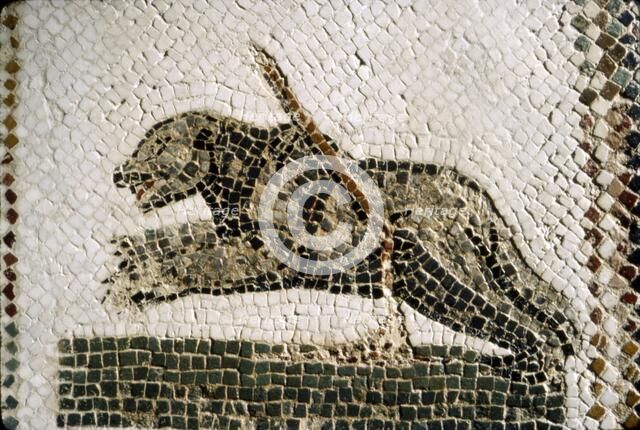 Roman Mosaic detail of Bear, from Diana the Huntress, Thuburbo Majus, Tunisia, c4th century. Artist: Unknown.