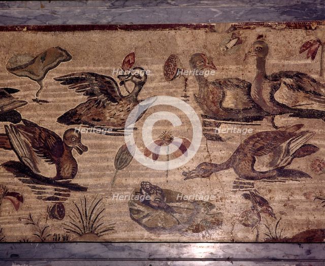 Roman Mosaic from Pompeii of ducks and frogs in a water garden, 1st century. Creator: Dioscurides of Samos.