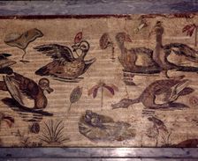Roman Mosaic from Pompeii of ducks and frogs in a water garden, 1st century. Creator: Dioscurides of Samos