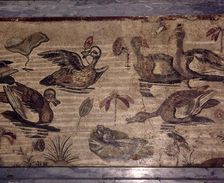 Roman Mosaic from Pompeii of ducks and frogs in a water garden, 1st century. Creator: Dioscurides of Samos