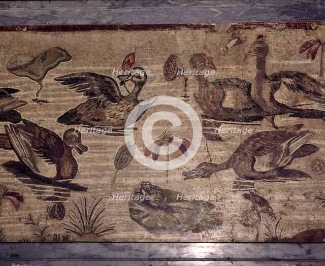 Roman Mosaic from Pompeii of ducks and frogs in a water garden, 1st century. Creator: Dioscurides of Samos.