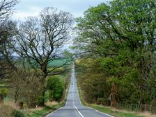 Roman military road west of Housesteads Fort, Hadrian's Wall, Northumberland, 2010. Artist: Graeme Peacock