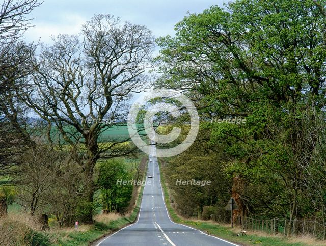 Roman military road west of Housesteads Fort, Hadrian's Wall, Northumberland, 2010. Artist: Graeme Peacock.