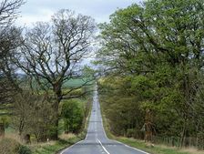 Roman military road west of Housesteads Fort, Hadrian's Wall, Northumberland, 2010. Artist: Graeme Peacock