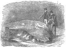 Roman pavement found in Mark-Lane, 1871. Creator: Unknown