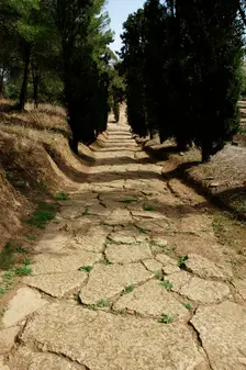 Roman road, Miróbriga, Alentejo region, Portugal, 1st-4th centuries (2008). Creator: Unknown