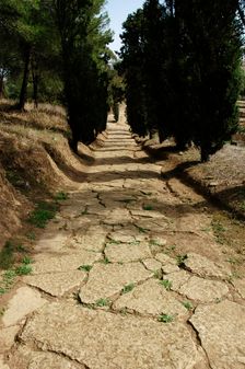 Roman road, Miróbriga, Alentejo region, Portugal, 1st-4th centuries (2008). Creator: Unknown