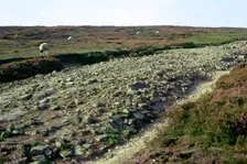 Roman road on Wheeldale Moor