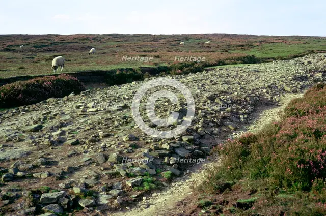 Roman road on Wheeldale Moor. Artist: Unknown