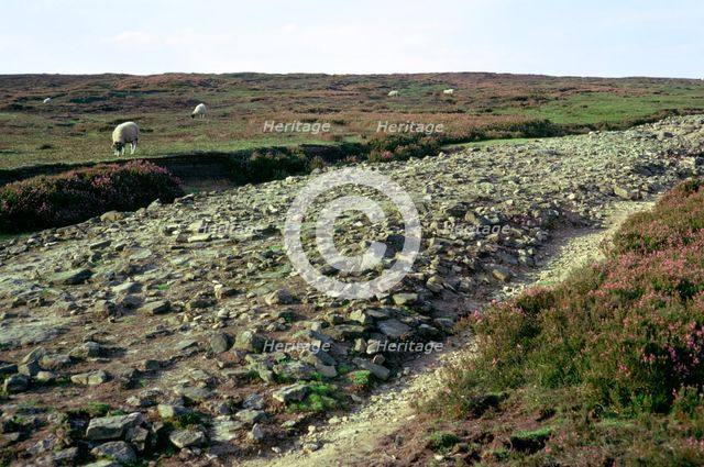 Roman road on Wheeldale Moor. Artist: Unknown