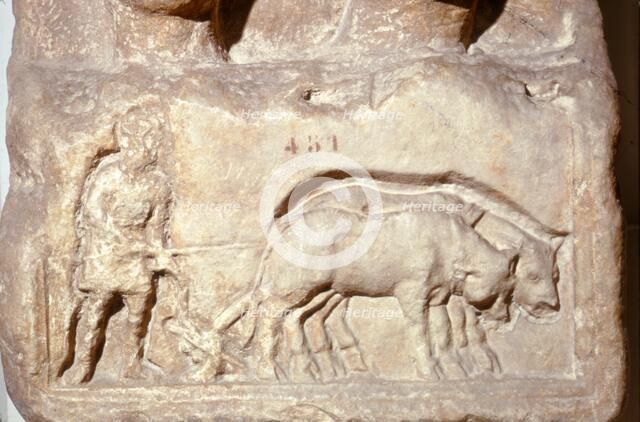 Roman Relief, Ploughing with Oxen, c1st century. Artist: Unknown.