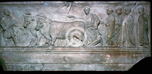 Roman relief showing the ritual plowing of the boundaries of a new city. Artist: Unknown