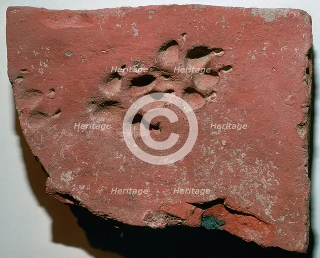 Roman tile with a dog's footprint, 3rd century. Artist: Unknown