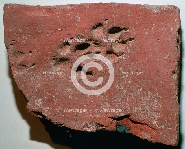 Roman tile with a dog's footprint, 3rd century. Artist: Unknown