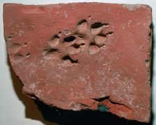 Roman tile with a dog's footprint, 3rd century