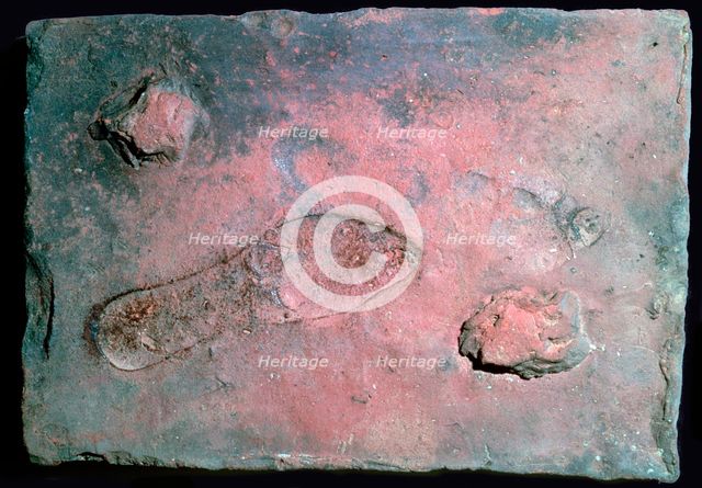 Roman tile with a man's footprint, 1st century. Artist: Unknown