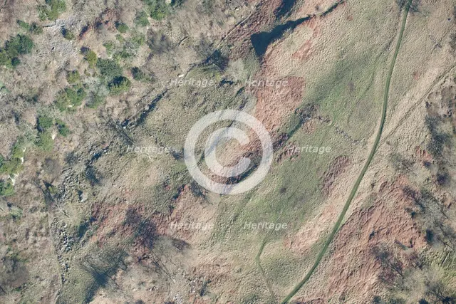 Romano-British enclosed settlement containing a hut circle, Whitcliffe Scar, North Yorkshire, 2014 Creator: Historic England Staff Photographer.