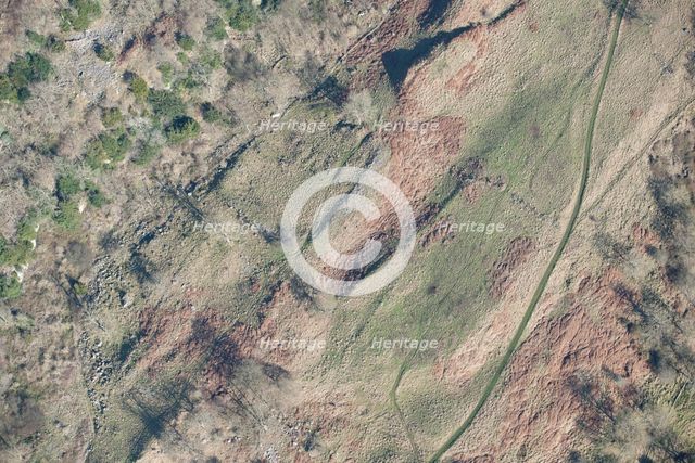 Romano-British enclosed settlement containing a hut circle, Whitcliffe Scar, North Yorkshire, 2014 Creator: Historic England Staff Photographer.