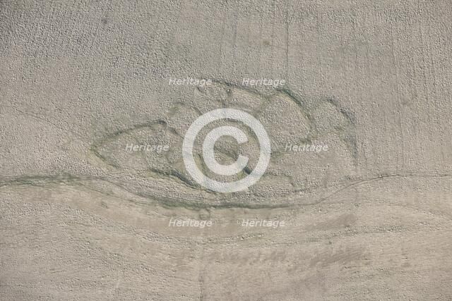 Romano-British enclosed settlement earthwork, Intake, Crosby Garrett Fell, Cumbria, 2014. Creator: Historic England Staff Photographer.