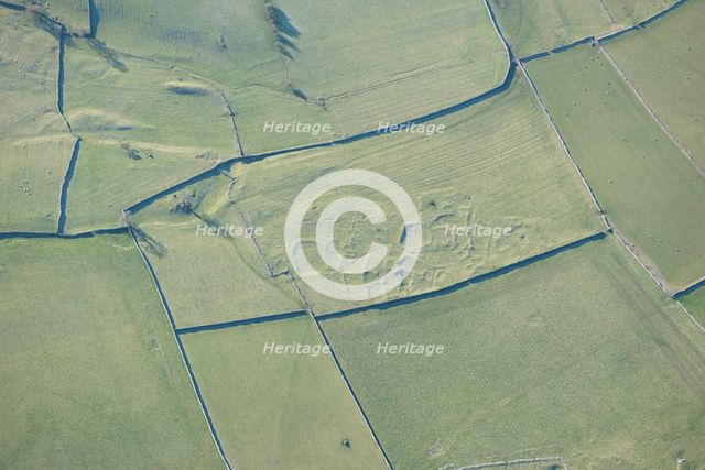 Romano-British settlement earthwork, Bank Moor, Cumbria, 2013. Creator: Historic England Staff Photographer.