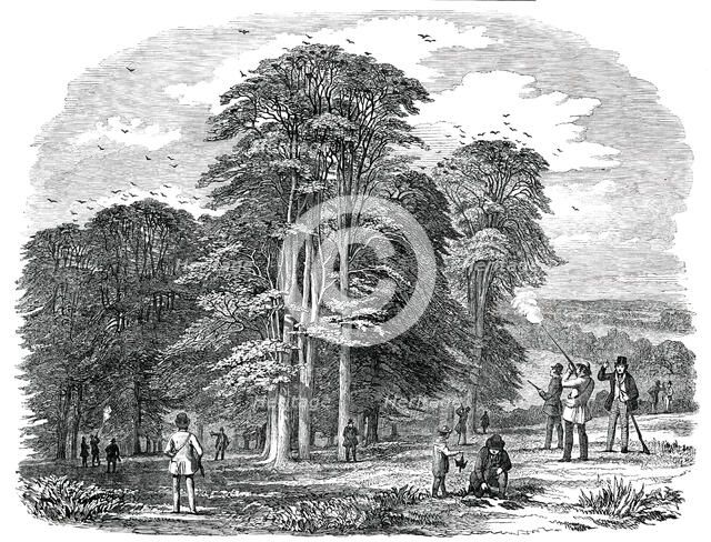 Rook-Shooting in Penshurst Park, 1850. Creator: Unknown.