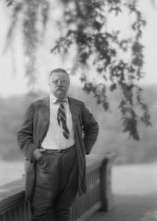 Roosevelt, Theodore, portrait photograph, 1916 Sept. 8. Creator: Arnold Genthe