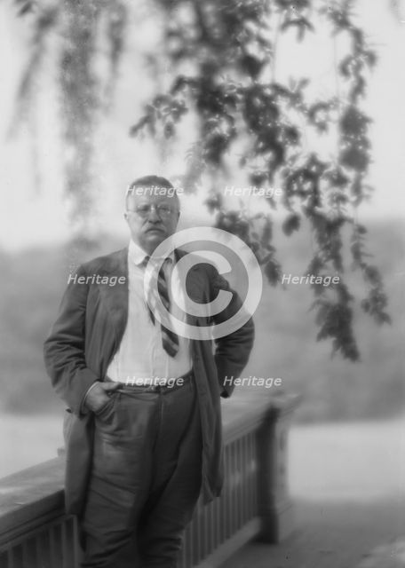 Roosevelt, Theodore, portrait photograph, 1916 Sept. 8. Creator: Arnold Genthe.