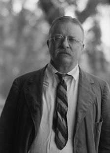 Roosevelt, Theodore, portrait photograph, 1916 Sept. 8. Creator: Arnold Genthe
