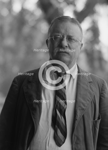 Roosevelt, Theodore, portrait photograph, 1916 Sept. 8. Creator: Arnold Genthe.
