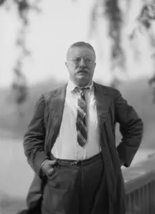 Roosevelt, Theodore, portrait photograph, 1916 Sept. 8. Creator: Arnold Genthe