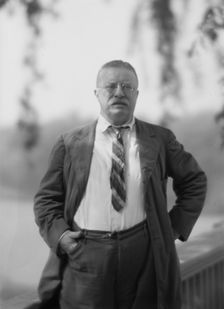 Roosevelt, Theodore, portrait photograph, 1916 Sept. 8. Creator: Arnold Genthe