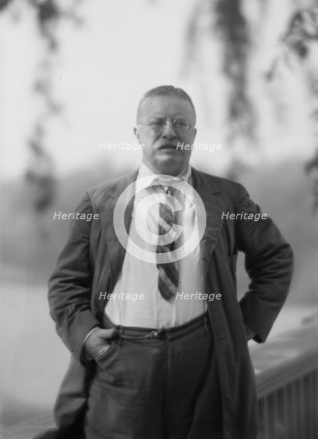 Roosevelt, Theodore, portrait photograph, 1916 Sept. 8. Creator: Arnold Genthe.