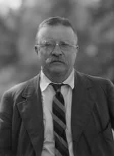 Roosevelt, Theodore, portrait photograph, 1916 Sept. 8. Creator: Arnold Genthe