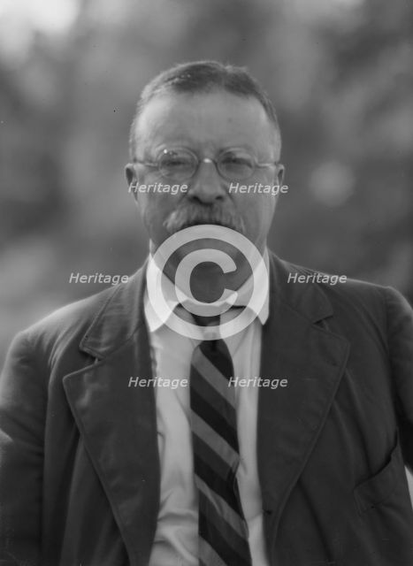 Roosevelt, Theodore, portrait photograph, 1916 Sept. 8. Creator: Arnold Genthe.