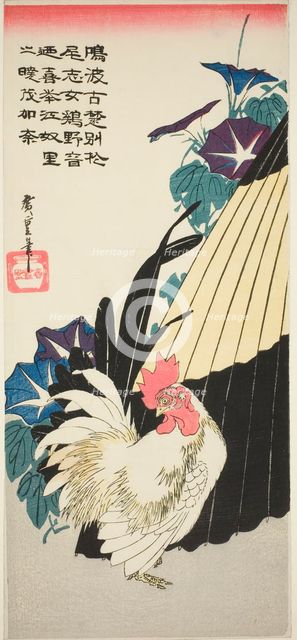 Rooster, umbrella, and morning glories, 1830s. Creator: Ando Hiroshige.