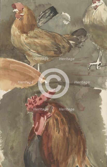 Rooster with chickens, 1874-1925. Creator: Jan Veth.