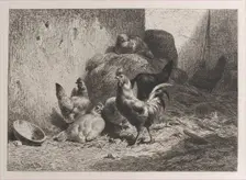 Rooster and Hens, 1864. Creator: Charles Emile Jacque