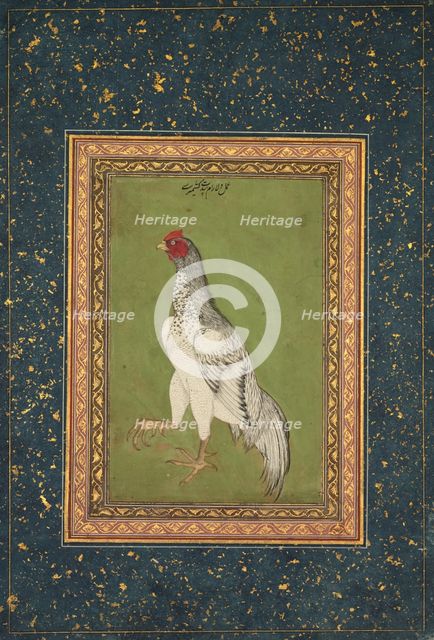 Rooster, c. 1620. Creator: Unknown.